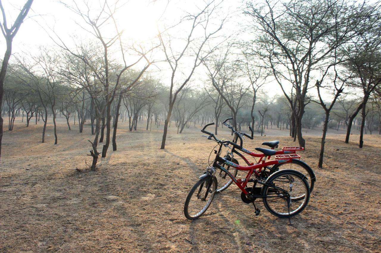 Vivaana Hotel Mandāwa Buitenkant foto